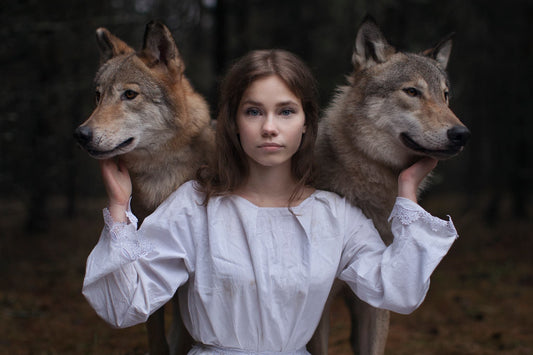 How to Find an Animal Spirit Guide