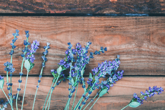 Energetic Tools to Promote Good Health