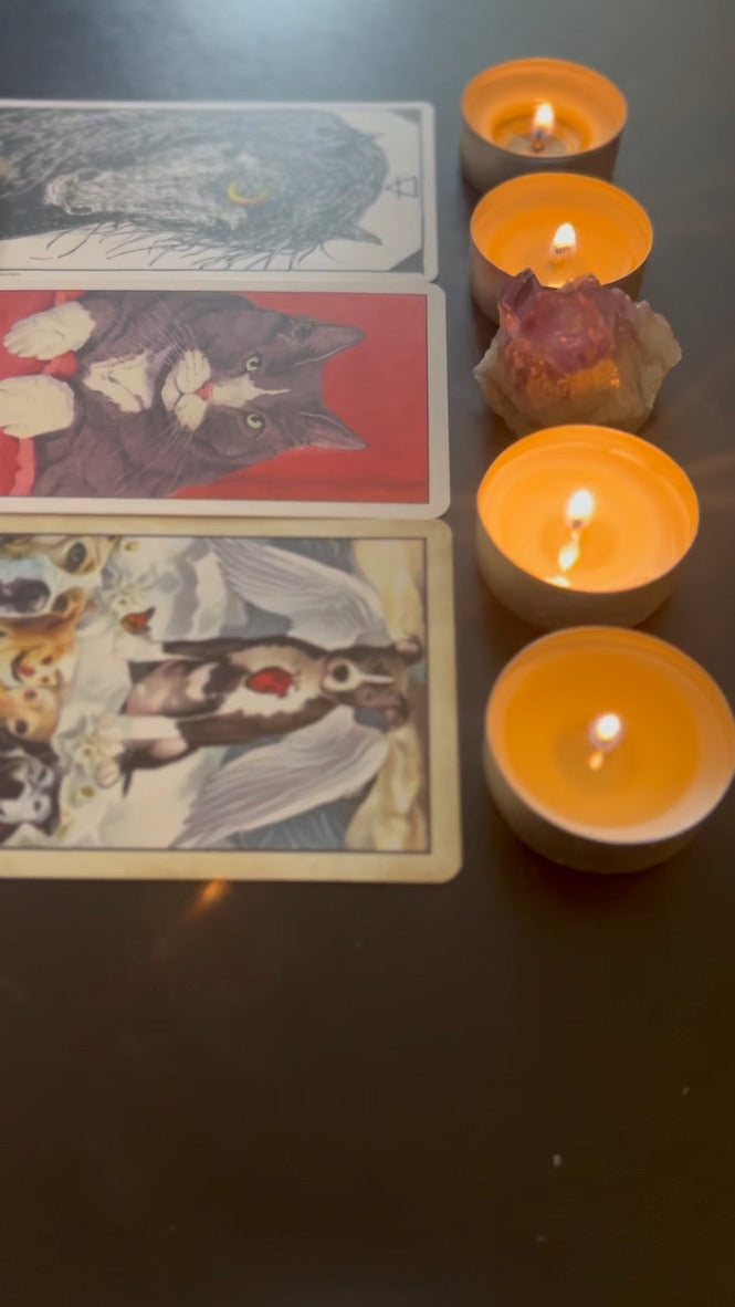 Inbox Oracle / Tarot Readings