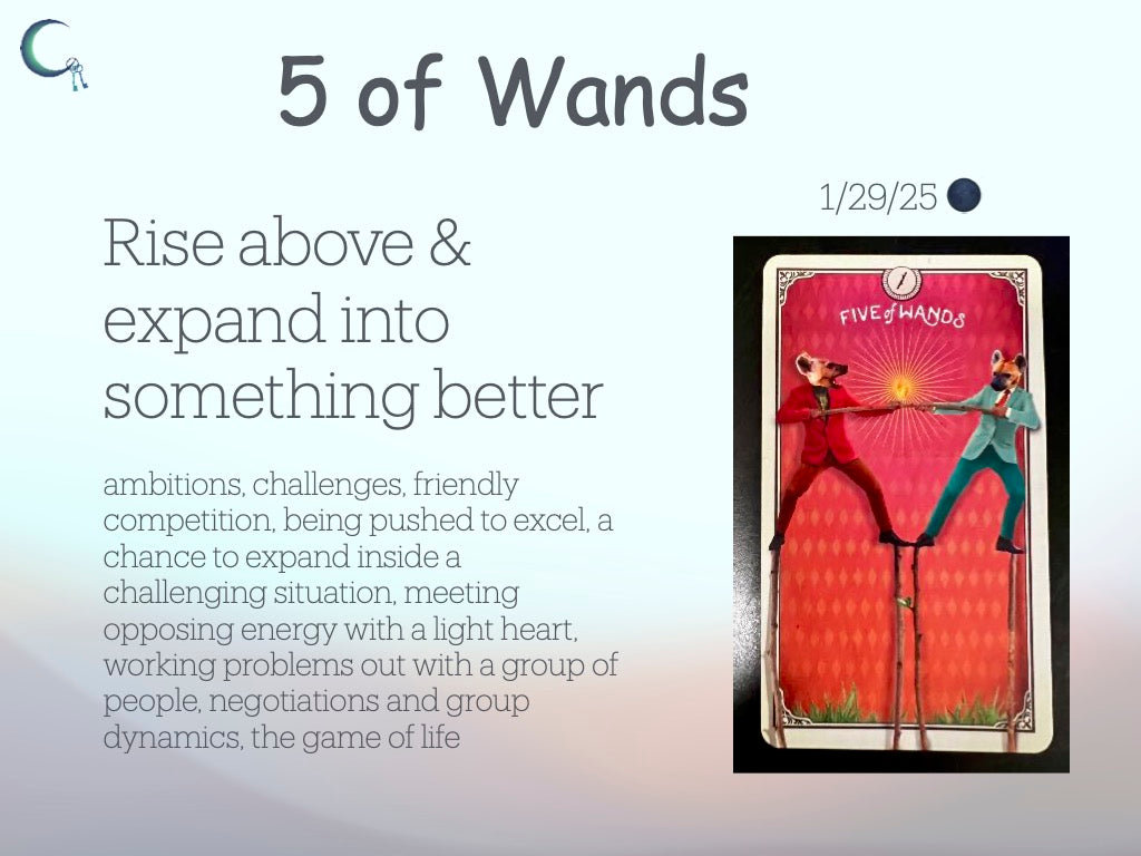 5 of Wands