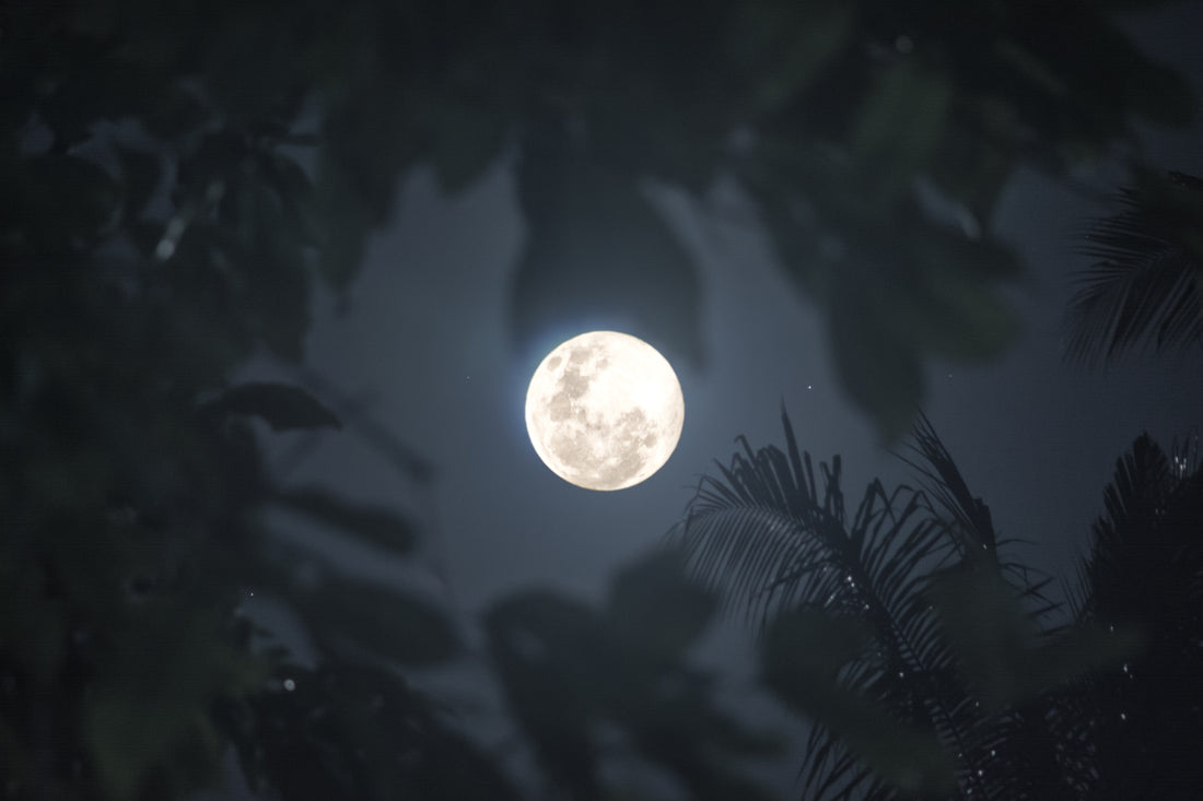 Full Moon Flux: The Truth and Ease Behind a Super Moon