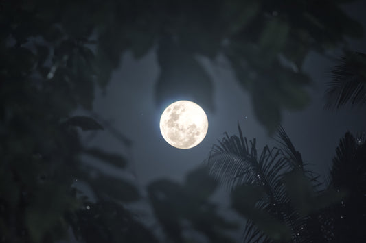 Full Moon Flux: The Truth and Ease Behind a Super Moon